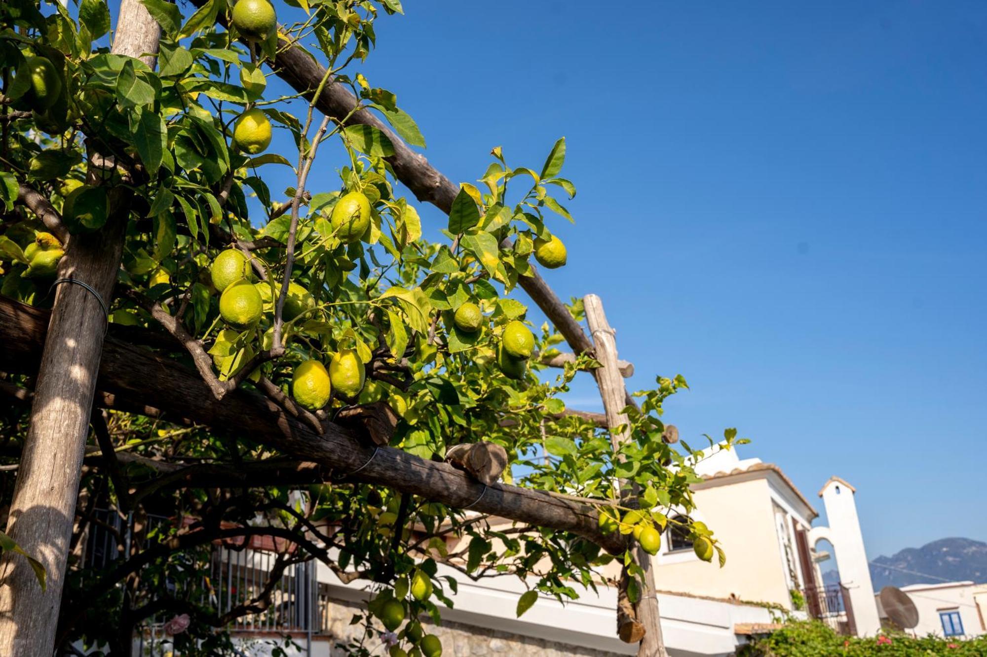 Villa Miramare, Piscina E Parcheggio A Conca Dei Marini Exterior foto